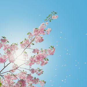 班长摘下奶罩🐻让我爽
