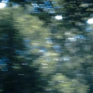 班长摘下奶罩🐻让我爽
